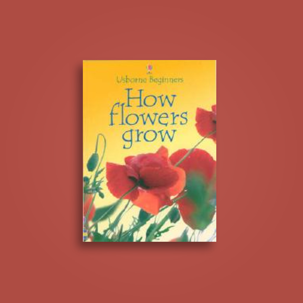 How Flowers Grow - Flower