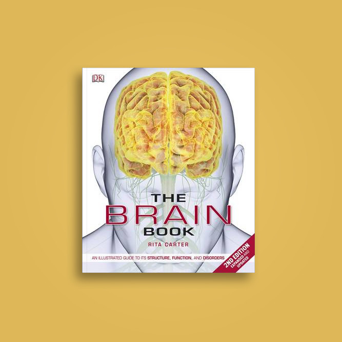 THE HUMAN BRAIN BOOK RITA CARTER